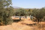 GL 0212 - Rental Apartments and Studios - Porto Heli